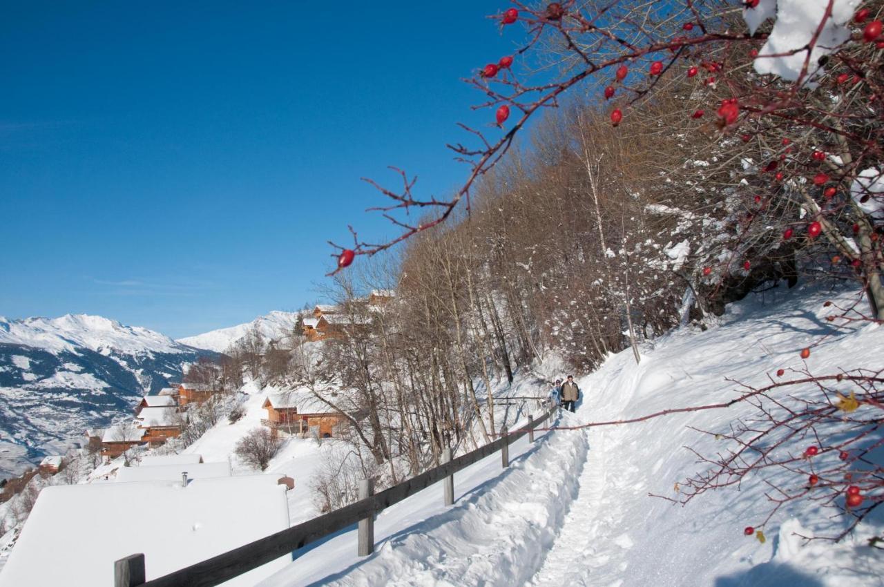 Greppons Cosy & Mountain Apartments By Alpvision Residences Вейзона Экстерьер фото